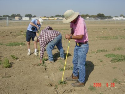 Weed Twister vs Mallow UC Davis