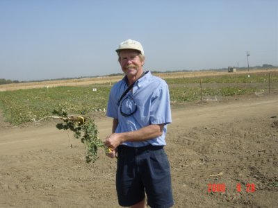 Weed Twister vs Mallow UC Davis Dr. Tom Lanini