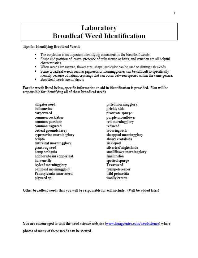Laboratory Broadleaf Weed Identification - Louisiana