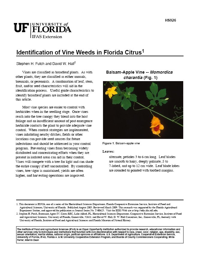Identification of Vine Weeds in Florida Citrus