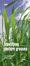 Identifying Midwestern Pasture Grasses A3637 Identifying Midwestern Pasture Grasses A3637