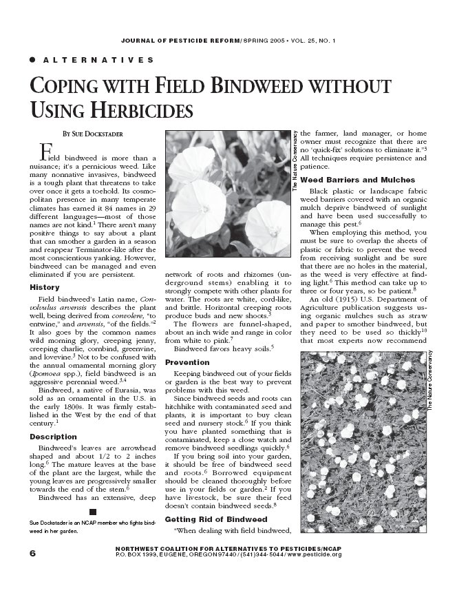Coping With Field Bindweed Without Using Herbicides