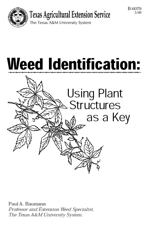 Weed Identification: Using Plant Structures as a Key TAMU Weed Identification: Using Plant Structures as a Key TAMU