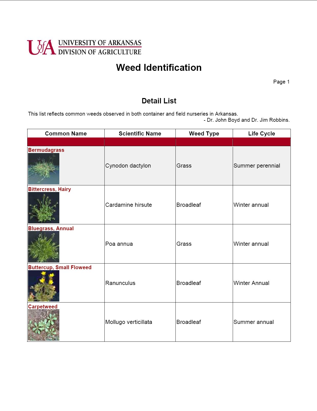 Weed Identification List - Horticulture - Nursery Production