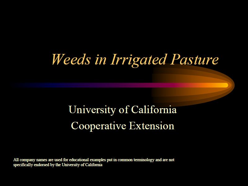Weeds in Irrigated Pasture - University of California Extension