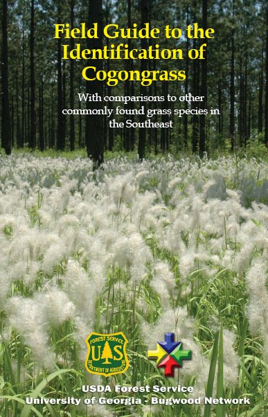 Field Guide to the Identification of Cogongrass