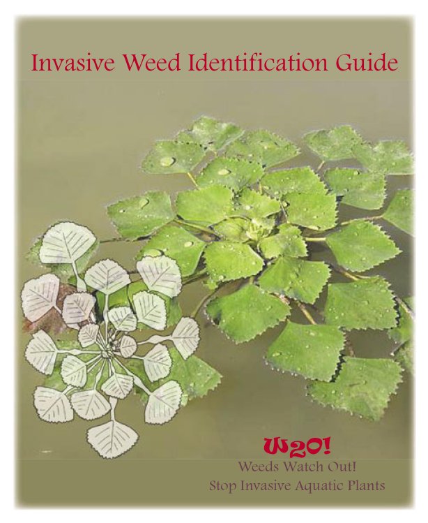 Invasive Aquatic Weed Identification Guide