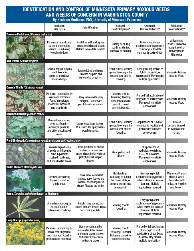 Identification And Control Of Minnesota Primary Noxious Weeds